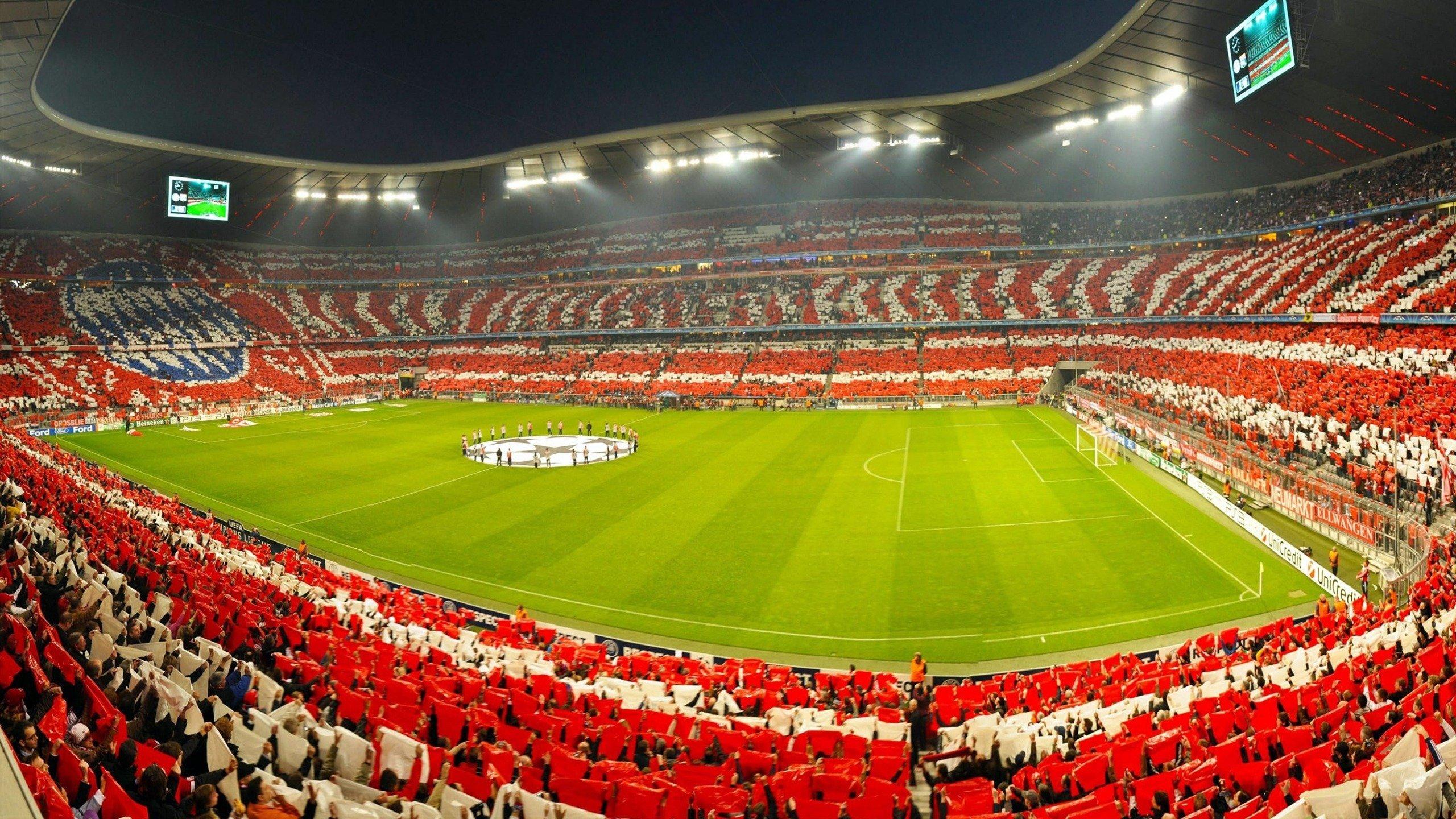 埃利奥特-安德森，世界杯梦想与对波斯特科格鲁的坚定信念